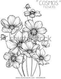 Pin On Flores