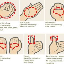 Stay tuned for release info. Using Your Hand As A Guide To Estimate Portion Size Download Scientific Diagram