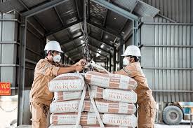 Chủ tịch HĐQT doanh nghiệp xi măng quy mô vốn hoá 6.000 tỷ nộp ...