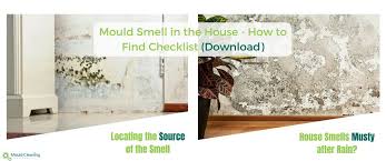Mould Smell In The House How To Find It Mould Cleaning Australia