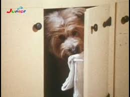 Les caillera film complet streaming. Boomer A Csodakutya Here S Boomer Usa 1980 Youtube