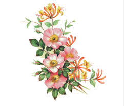 Beatriz ( flor ) 55 mm