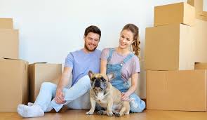 Hallo zusammen, leider suche ich mit meiner treuen fellnase immer noch eine der wenigen wohnungen. Tipps Fur Wohnungssuche Mit Hund Umzugstipps Fur Tierbesitzer