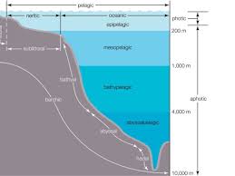 We did not find results for: Ess Topic 4 3 Aquatic Food Production Systems Amazing World Of Science With Mr Green