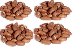 Image result for photos of bitter kola