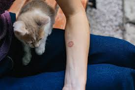 Hand sanitizer doesnt no, it actually cleans you hand and weakens all the germs on you hands. Ringworm In Dogs Cats Symptoms Treatment Bow Wow Meow