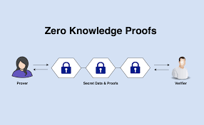 What Are Zero Knowledge Proofs Zero Knowledge Proofs Zkps Allow Data By Shaan Ray Towards Data Science
