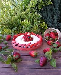 Tarte Aux Fraises Les Desserts De Jn Tarte Aux Fraises Tarte Desserts