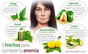 5 Hierbas Para Combatir La Anemia Herbazest