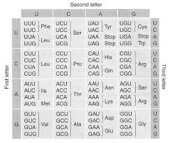 Exam 2 Answer Key