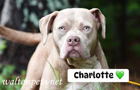 Derry's address is: Derry Burns Zebulon Park Health & Rehabilitation Room  106 343 Plantation Way Macon, GA 31210 Zebulon Park Health & Rehabilitation  Room 106 343 Plantation Way Macon, GA 31210