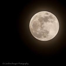 The Moon Tonight Over Mcallen Texas With A Beautiful Lunar Halo The Moon Tonight Mcallen Moon
