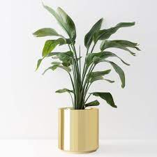 Indoor Planter Ceramic Plant Pot 15 12 10 8 Or 7 Large Flower Pot Available In White Black Peach Or Gold Indoor Flower Pots Hanging Plants Indoor Ceramic Plant Pots