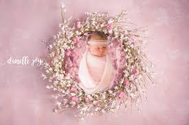 Bump To Baby Photographers Near Me Blog Cleveland Based Photographer Focusing On Baby Child Family And Senior Photography Danelle Joy Photography Newborn Children Maternity And Family Photographer In The