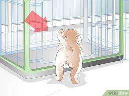 In many ways, getting a new puppy is just like having a baby in the house. How To Get Your Puppy To Sleep In Its Own Bed 13 Steps