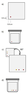 Thin layer chromatography (tlc) is one of the easiest and most versatile methods of doing this because of its low cost, simplici … in many experiments, it is important to be able to separate a mixture into its chemical components in order to isolate one compound or to assess the purity of the mixture. Tips And Tricks For The Lab Column Troubleshooting And Alternatives Education Chemistryviews