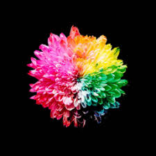 Do you know amoled wallpapers act like battery saver on amoled display smartphone? Amoled Live Wallpapers Backgrounds 4k Darknex App Ranking And Store Data App Annie