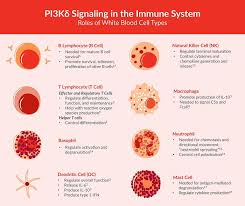 pi3k delta signaling in rheumatoid arthritis alpco