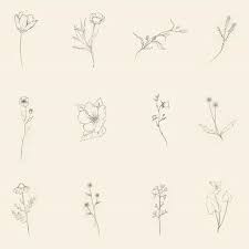 Image Result For Forget Me Not Tattoo Black And White Ad In 2020 Tiny Tattoos Trendy Tattoos Flower Tattoos