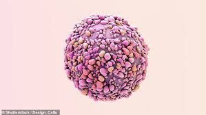 Rates of breast cancer are low in women under 40. Hope For Breast Cancer Survivors As Scientists Develop New Test Daily Mail Online