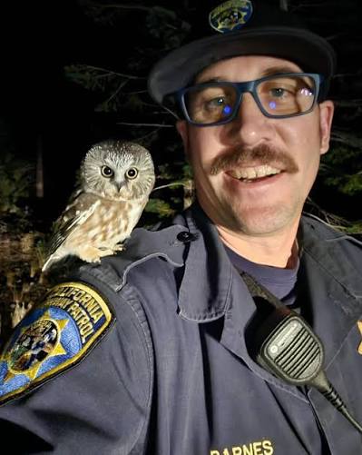 Police Officer pulls over to have an Adorable Conversation with baby Owl!