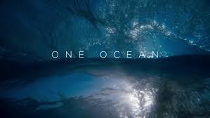 Blue planet ll se concentrează mai mult asupra influenței omenirii asupra oceanelor lumii, atât prin poluarea globală, cât și prin schimbările climatice. Blue Planet Ii Watch Free Online Documentaries Ihavenotv Com