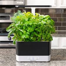 You can also buy seed pods separately online. Amazon Com Aerogarden Gourmet Herb Seed Pod Kit 7 Pod Plant Germination Kits Garden Outdoor