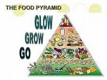 Go Grow Glow Foods Chart Yahoo Image Search Results Food To Go Food Charts Pyramids