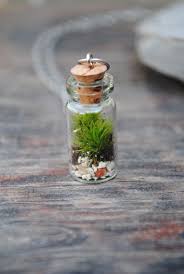 Pin By Jennifer Bowman On Gse Terrarium Necklace Mini Terrarium Bottle Jewelry