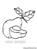  Gambar Mewarnai Buah Alpukat Gratis Sketsa Spongebob Warna