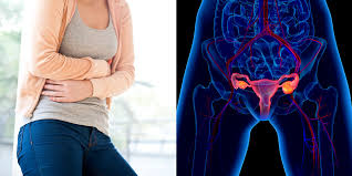 Women have two ovaries that produce eggs as well as the hormonal agents' estrogen and progesterone. The 4 Signs Of Ovarian Cyst Rupture You Shouldn T Ignore There Are Various Types Of Ovarian Cysts An Ovarian Cyst Ovarian Cyst Ruptured Ovarian Cysts Remedies