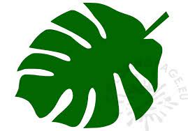 Find & download free graphic resources for tropical leaves. Cut Out Tropical Leaf Outline Novocom Top
