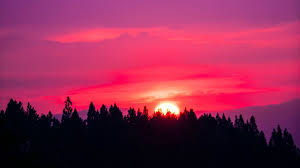 A collection of the top 39 2048x1152 wallpapers and backgrounds available for download for free. Download Wallpaper 2048x1152 Sunset Sky Pink Trees Sun Ultrawide Monitor Hd Background