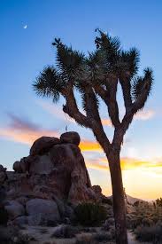 خلفيات موبايل حيه اجمل خلفيات الموبايل 12 desert sunset sunset photos stock photos