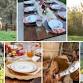 Highland Cow Fall Luxe Picnic Experience event image