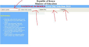 Form one selection for the academic year 2019/2020. 2021 Form One Selection How To Check School Via Sms Code Kenyayote