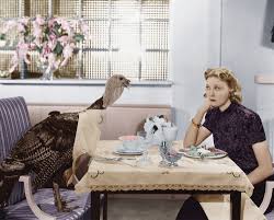Free for commercial use high quality images. 22 Weird Thanksgiving Stock Photos Every Marketer Can Appreciate