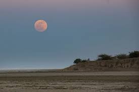 See, that's what the app is perfect for. Poglejte V Nebo Osvetlila Ga Bo Roznata Luna 24ur Com