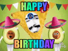 Birthday Taco Gifs Tenor