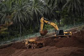 Potential impacts are expected to go beyond physical environment and physical illness if the situation is not controlled. Kuantan Mp Fuziah Says No Rest Till Bauxite Pollution Issue Resolved The Edge Markets