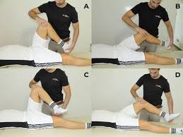 Image result for McMurray Test