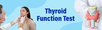 Image result for Thyroid Function Test