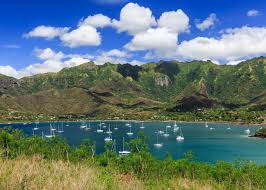 Image result for Marquesia