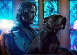 The official account for the #johnwick franchise. What We D Love To See In John Wick Chapter 4