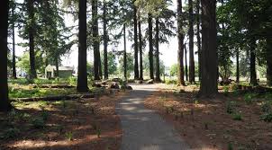 Pamplin Media Group Patches Of Nature In Portland