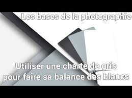 comment utiliser une charte de gris pour faire sa balance