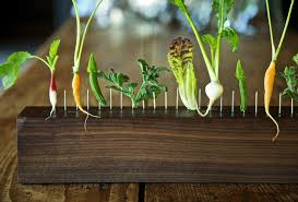 10 Restaurants Taking Farm To Table To A Different Level Nyc Restaurants Healthy Restaurant Farm Restaurant