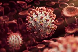 It was first identified in december 2019 in wuhan,. What Do We Know About The New Covid 19 Variant Gponline