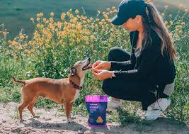 Pet relief cbd edibites reviews. Real Tested Cbd Reviews Top 5 Cbd Pet Treats The Cannifornian