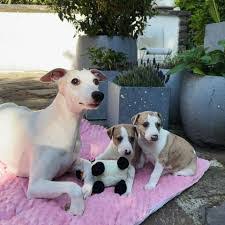 Laura Hitz's Instagram, Twitter & Facebook